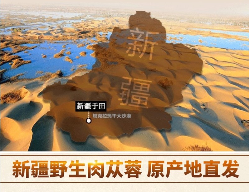 肉苁蓉新疆和田大芸新鲜肉苁蓉500g包邮