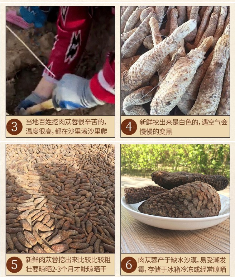 肉苁蓉新疆和田大芸新鲜肉苁蓉500g包邮