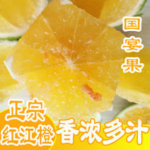 广东湛江特产廉江红橙现摘10斤正宗红江橙青脐橙子