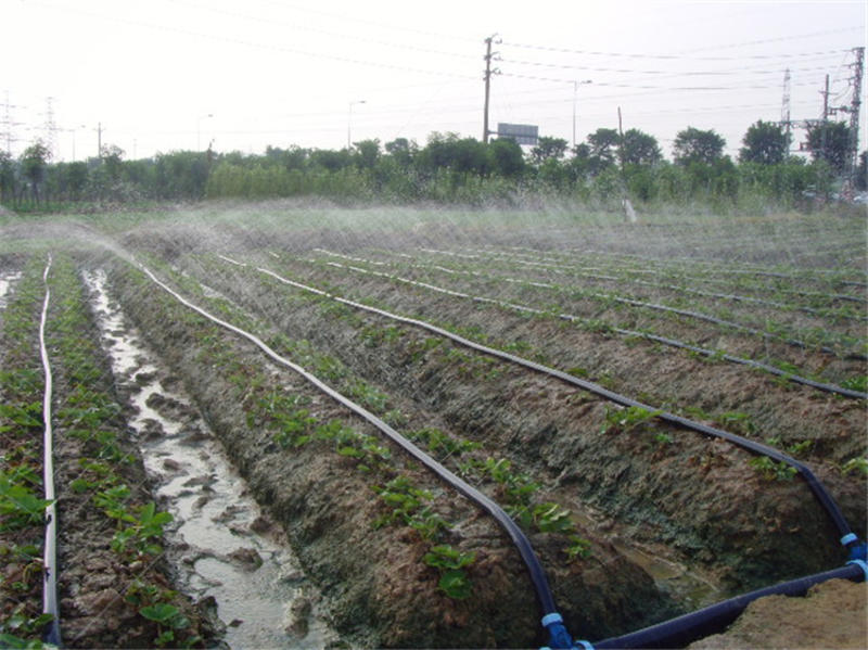 喷雾管造雾防晒降温除尘微喷带喷灌带洒水带软管农用节水灌溉