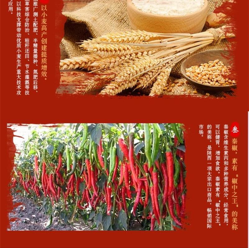 【有好货】正宗岐山擀面皮凉皮陕西西安名小吃包邮【一件代发】