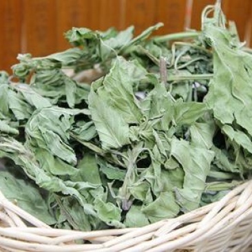 包邮薄荷叶一公斤起卖量大从优