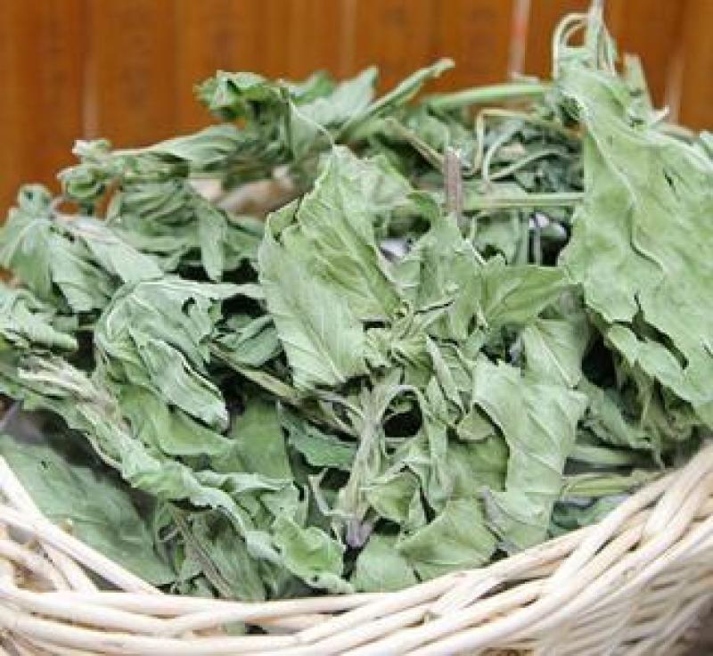 包邮薄荷叶一公斤起卖量大从优