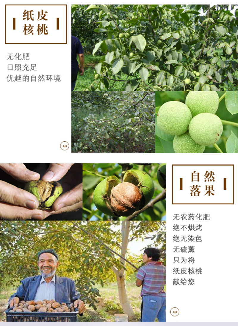 新疆核桃厂家直销薄皮核桃500g新疆坚果特产干果原味核桃