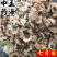 菊花茶用菊花七月菊无硫货