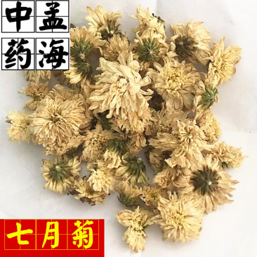 菊花茶用菊花七月菊无硫货