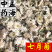 菊花茶用菊花七月菊无硫货