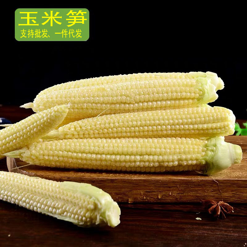 【一件代发】5斤/9斤玉米笋新鲜大量出货批发
