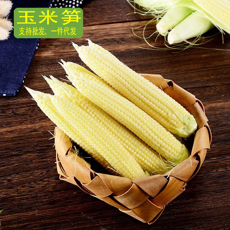 【一件代发】5斤/9斤玉米笋新鲜大量出货批发