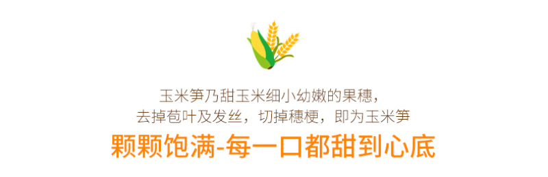 【一件代发】5斤/9斤玉米笋新鲜大量出货批发