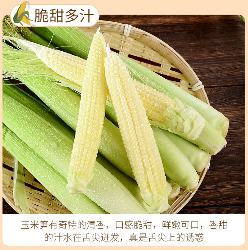 【一件代发】5斤/9斤玉米笋新鲜大量出货批发
