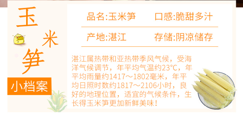 玉米笋一件代发大量供应承接线上线下订单