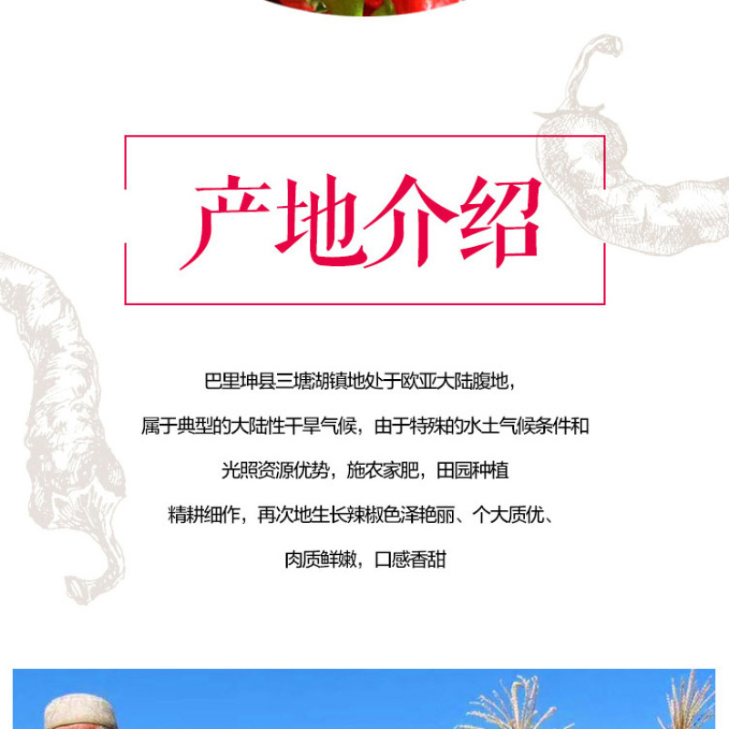 哈密巴里坤三塘湖大辣椒干馕饼辣皮子一级2019新货包邮