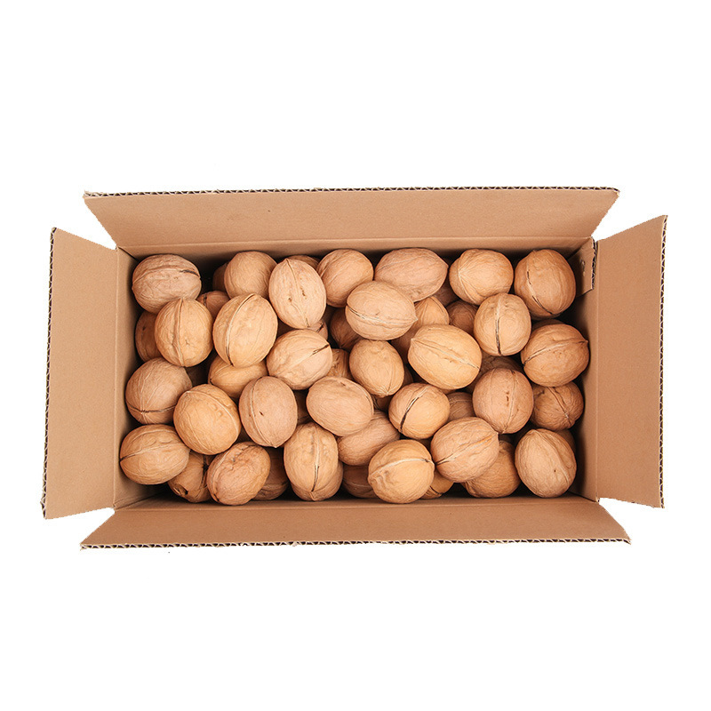 新疆核桃厂家直销薄皮核桃500g新疆坚果特产干果原味核桃