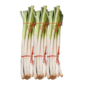 大葱现挖新鲜自家种植香葱大葱煎饼卷新鲜蔬菜农产品量大从优