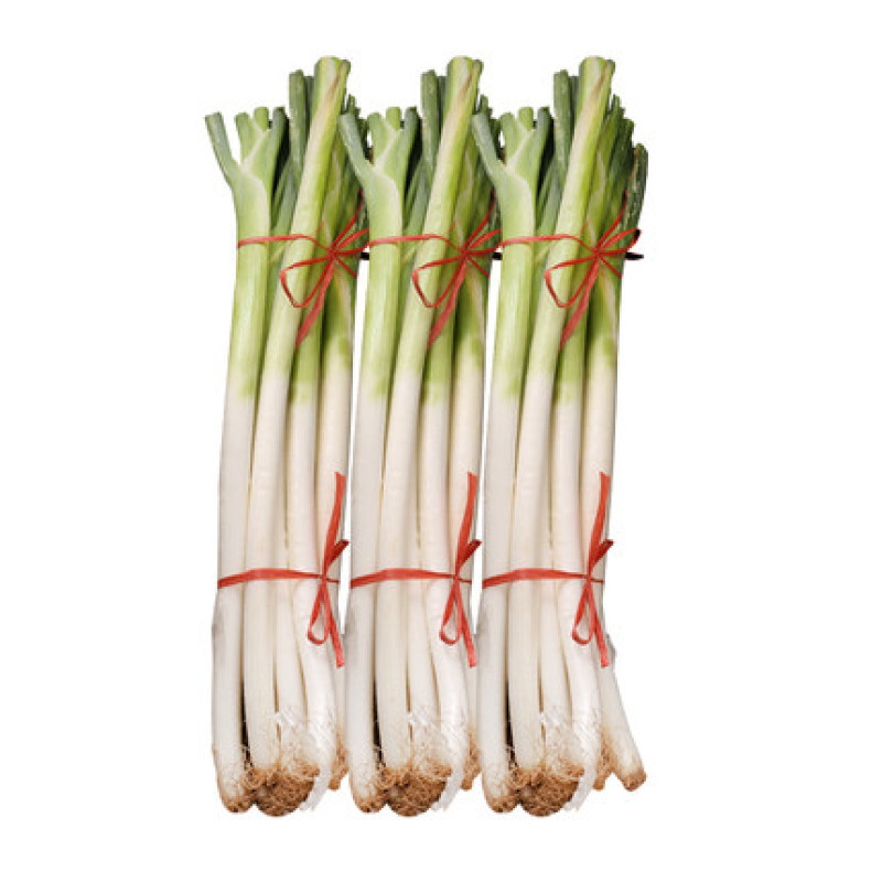 大葱现挖新鲜自家种植香葱大葱煎饼卷新鲜蔬菜农产品量大从优