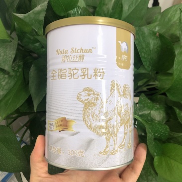 驼奶伊犁那拉乳骆驼奶粉厂家新疆骆驼奶