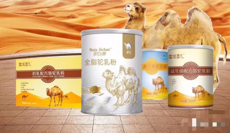 驼奶伊犁那拉乳骆驼奶粉厂家新疆骆驼奶