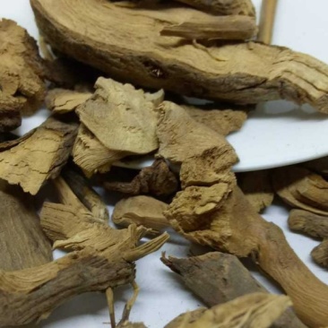 包邮茅莓根三月泡一公斤起卖量大从优
