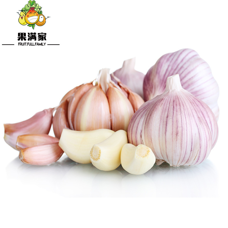 山东金乡新鲜大蒜头2017现挖新蒜干蒜农家蔬菜一件5斤装