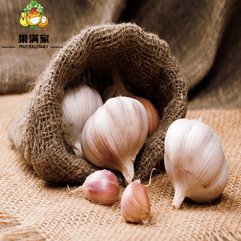 山东金乡新鲜大蒜头2017现挖新蒜干蒜农家蔬菜一件5斤装