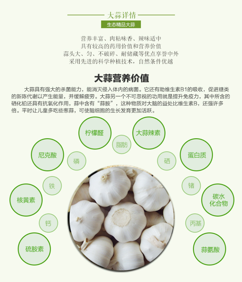山东金乡新鲜大蒜头2017现挖新蒜干蒜农家蔬菜一件5斤装