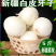 新疆新鲜白皮牙子白洋葱5斤装新鲜蔬菜包邮
