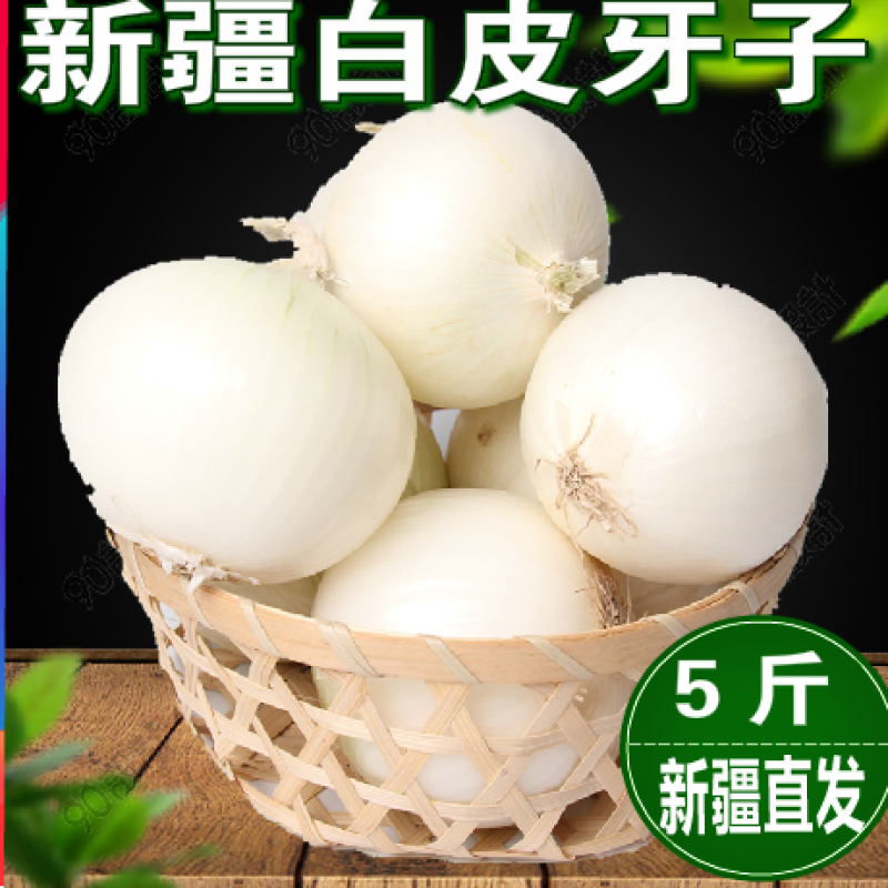 新疆新鲜白皮牙子白洋葱5斤装新鲜蔬菜包邮