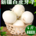 新疆新鲜白皮牙子白洋葱5斤装新鲜蔬菜包邮