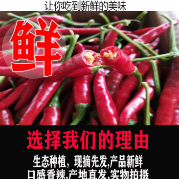 农家泰椒特辣朝天椒红小米辣椒指天椒土辣剁椒新鲜5斤