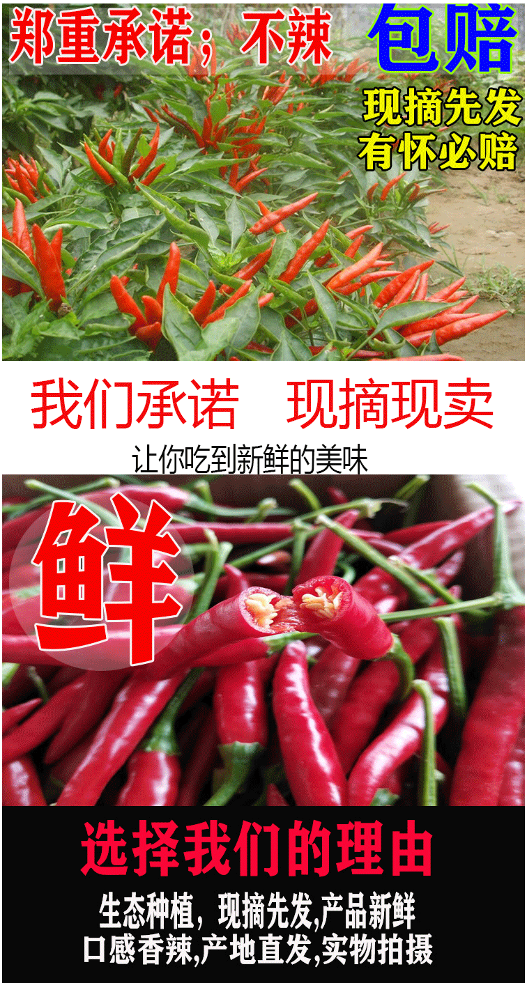 农家泰椒特辣朝天椒红小米辣椒指天椒土辣剁椒新鲜5斤