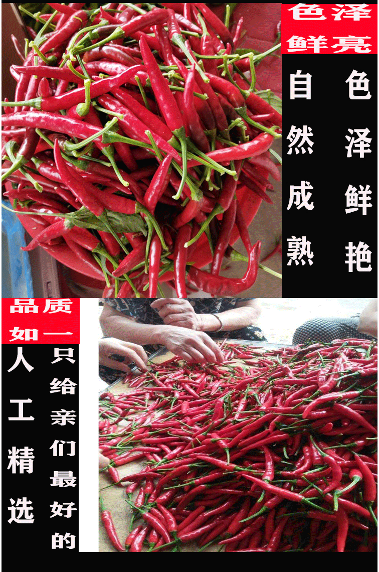 农家泰椒特辣朝天椒红小米辣椒指天椒土辣剁椒新鲜5斤