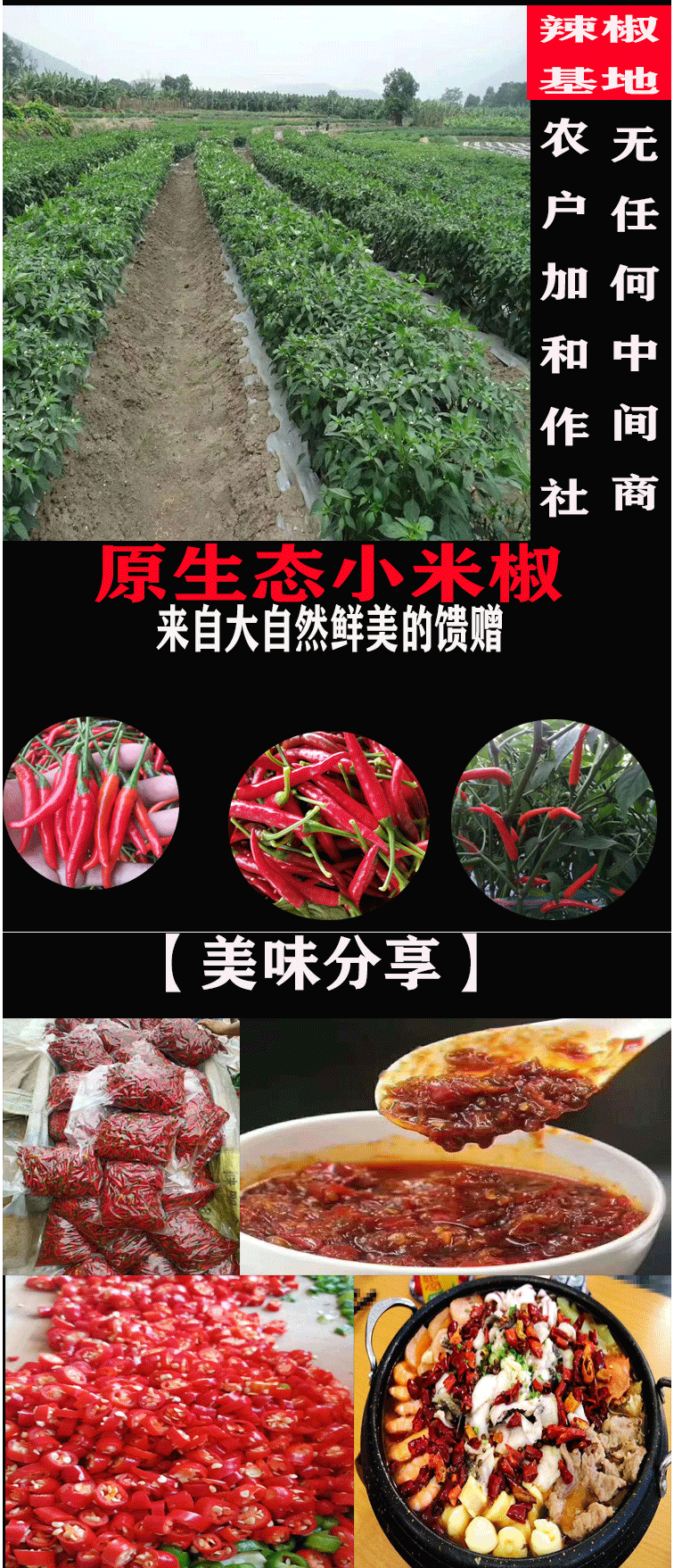 农家泰椒特辣朝天椒红小米辣椒指天椒土辣剁椒新鲜5斤