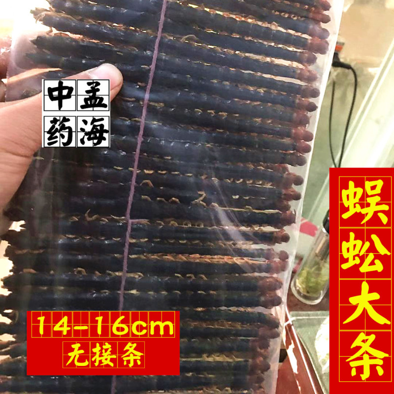 蜈蚣选大条14-16cm无接条包邮