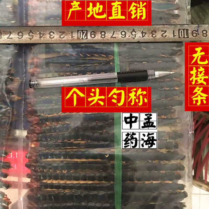 蜈蚣选大条14-16cm无接条包邮