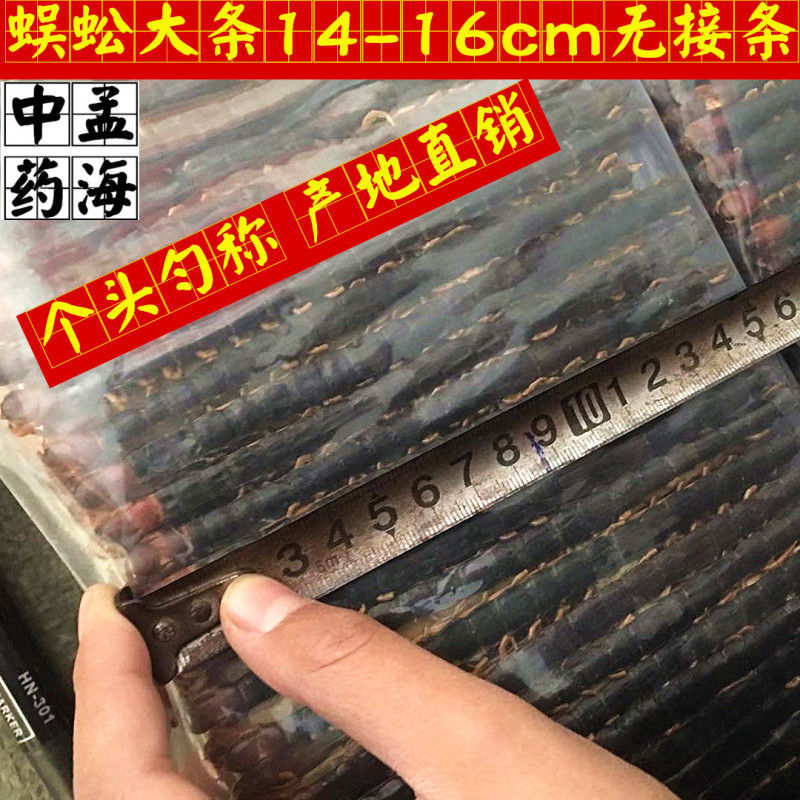 蜈蚣选大条14-16cm无接条包邮