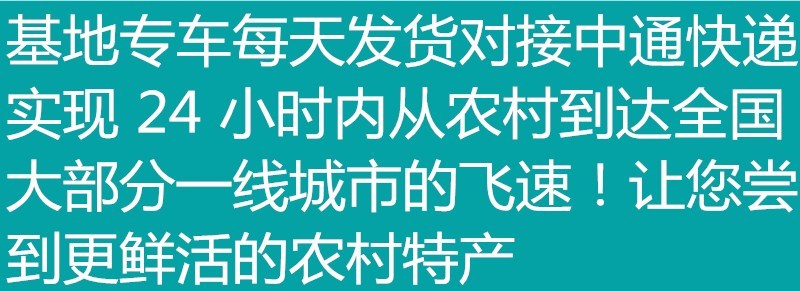 刘姓塘莲藕纯中段煲汤用保鲜盒加冰保鲜发货全国包邮