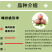 正宗嵊州桃形李苗嫁接果树苗李子树苗南方北方种植当年结果