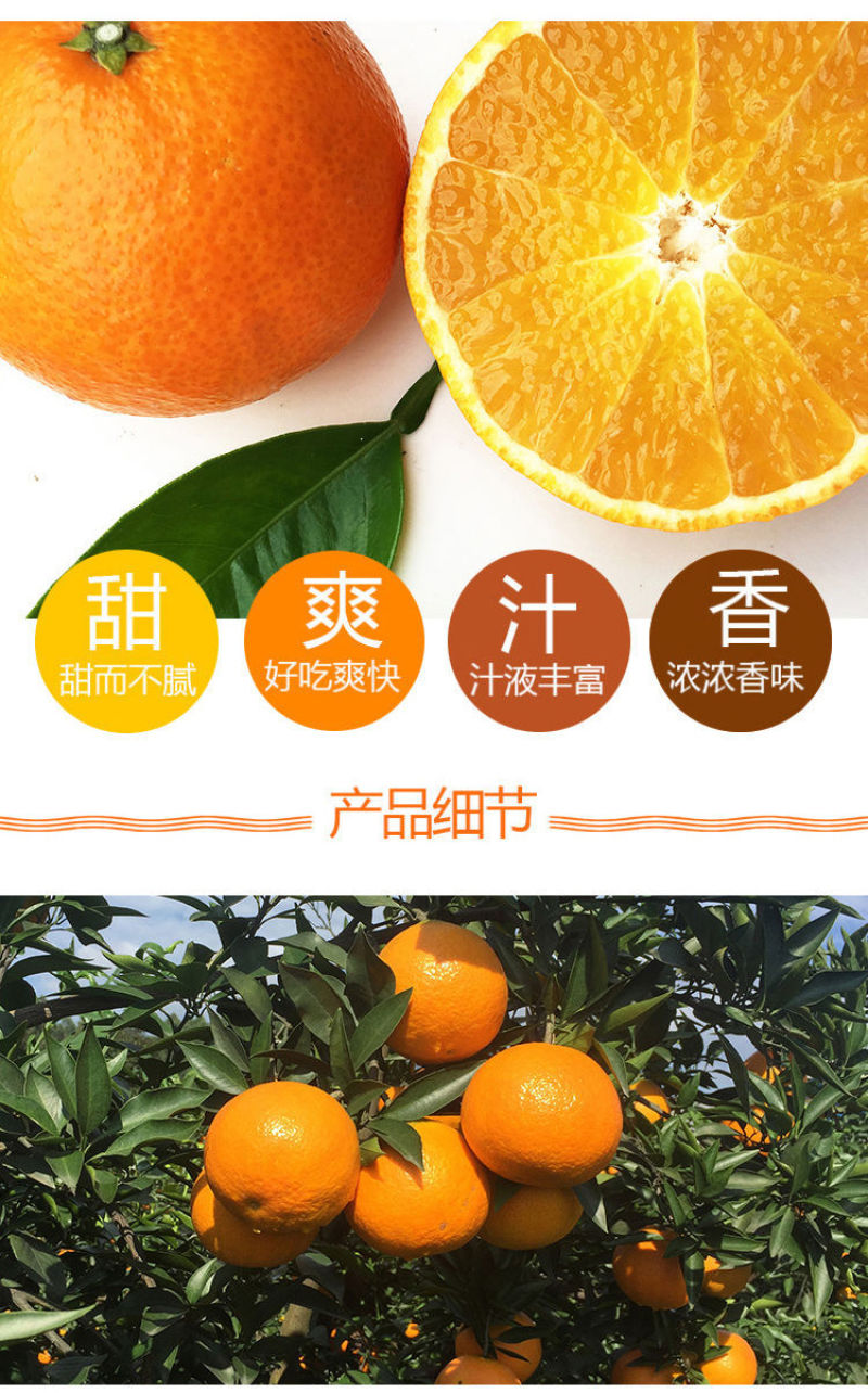 四川果冻橙爱媛38号带箱5斤现摘现发橙子甜新鲜水果柑橘