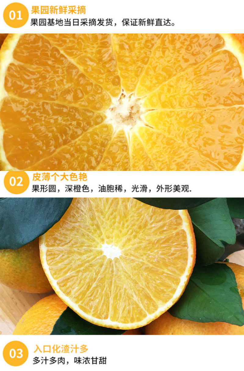 四川果冻橙爱媛38号带箱5斤现摘现发橙子甜新鲜水果柑橘