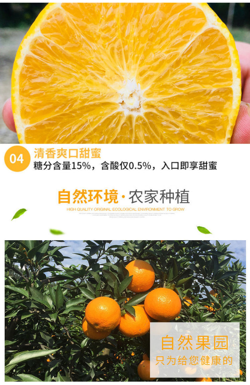 四川果冻橙爱媛38号带箱5斤现摘现发橙子甜新鲜水果柑橘