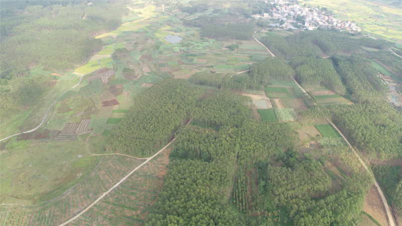 覃塘区大岭乡150亩旱地出租