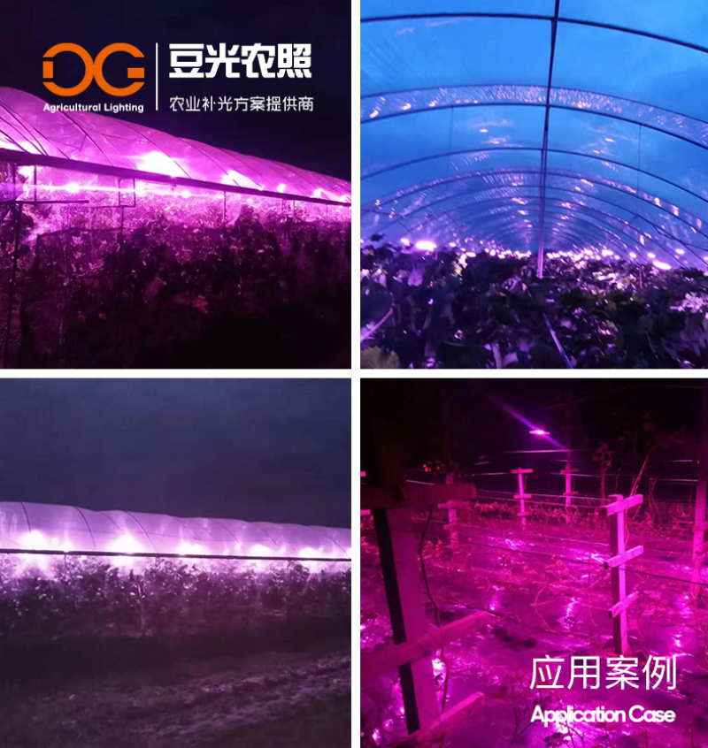 葡萄光照专用灯/植物生长补光灯/LED红蓝配比全光谱铝壳