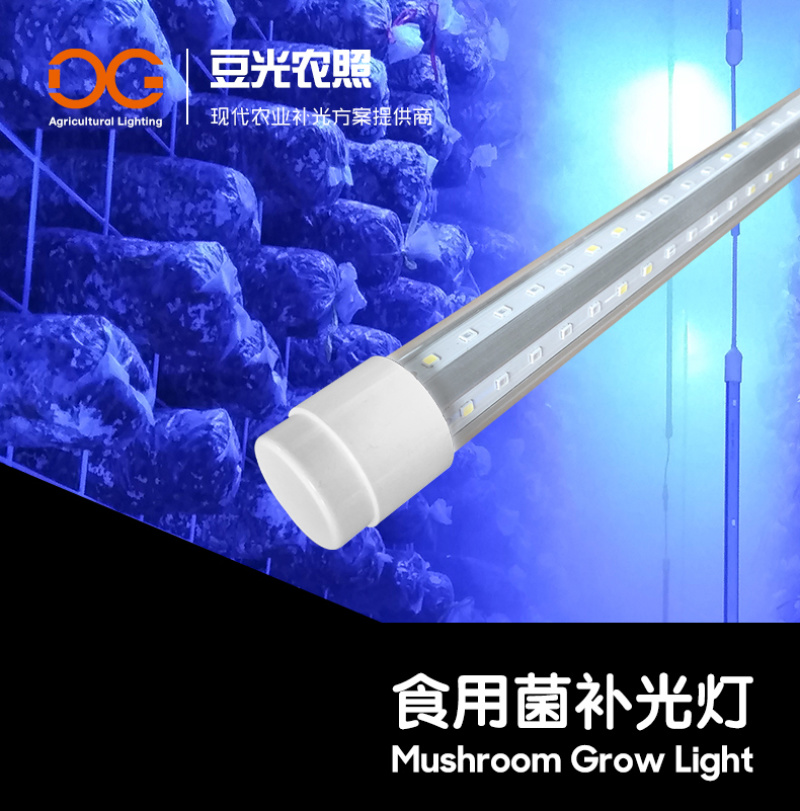 食用菌光照灯LED补光灯蘑菇散射蓝光灯防水耐高温