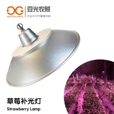 草莓光照专用补光灯LED植物生长补光灯促进植物补光灯