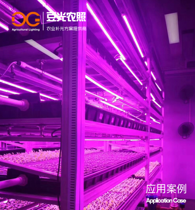 组培专用补光灯T8植物生长灯LED光源全光谱水培育苗多肉