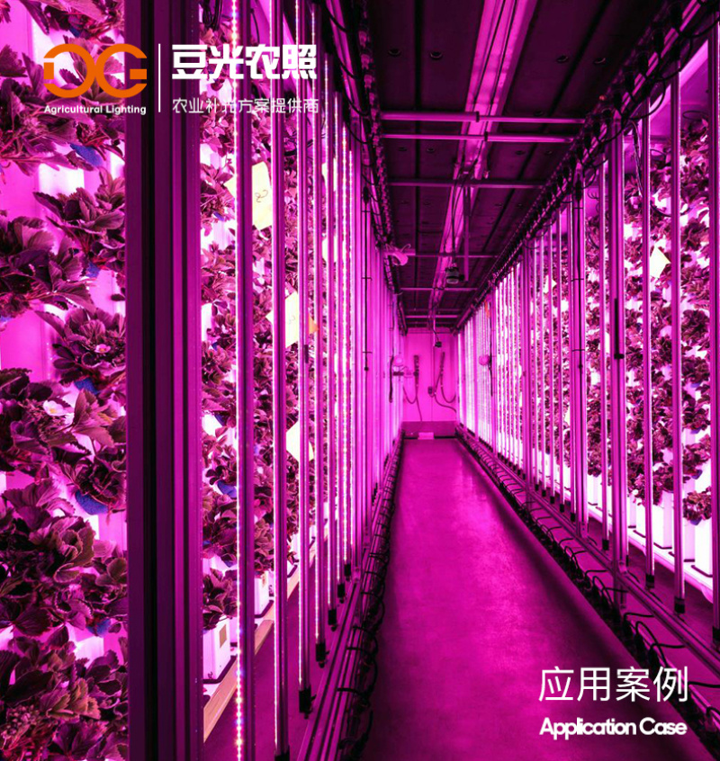 组培专用补光灯T8植物生长灯LED光源全光谱水培育苗多肉