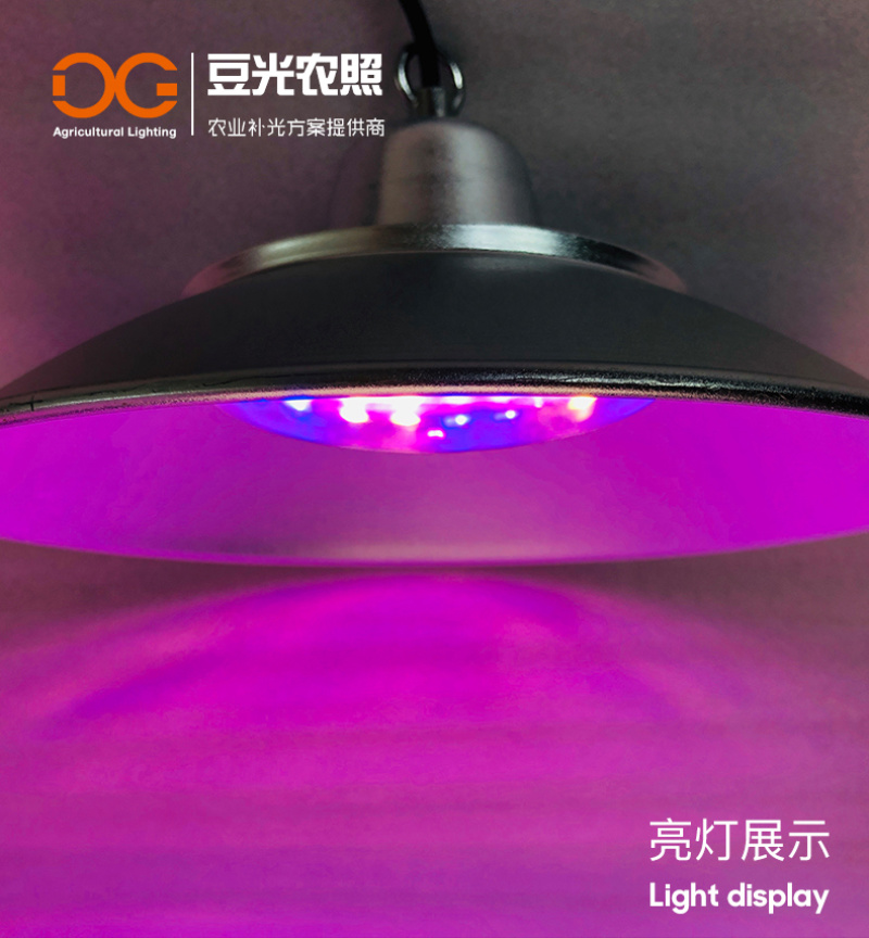 黄瓜补光灯专用灯LED植物生长灯红蓝全光谱反季温室补光灯