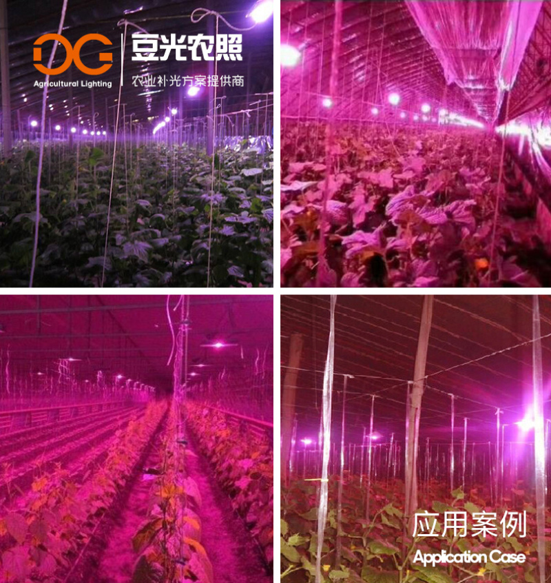 黄瓜补光灯专用灯LED植物生长灯红蓝全光谱反季温室补光灯