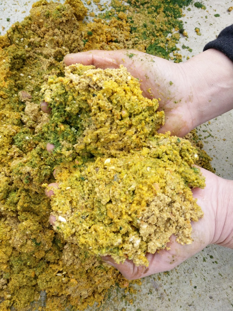 八鹰家用青饲料打浆机小型青饲料粉碎机养猪养鸡